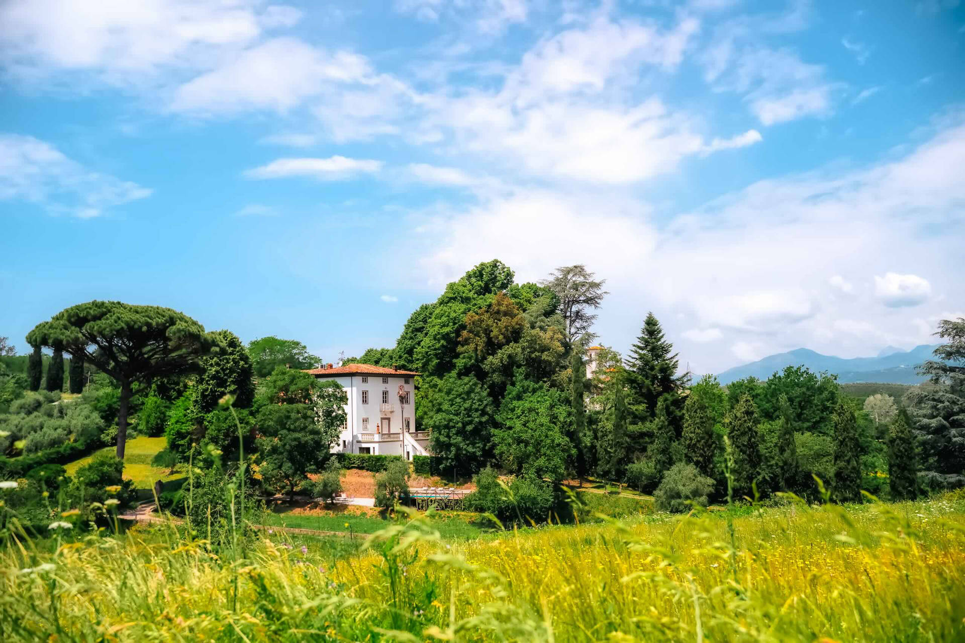 Villa panoramic view